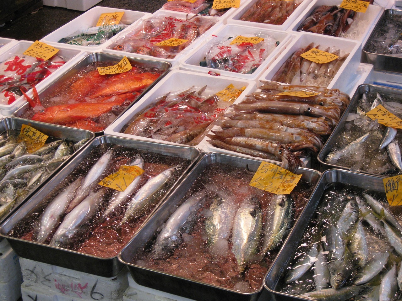 探索东京，网红美食店的味蕾之旅